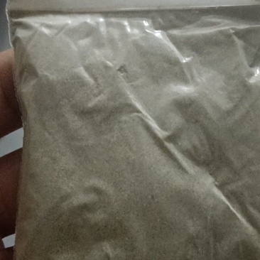 铁皮石斛