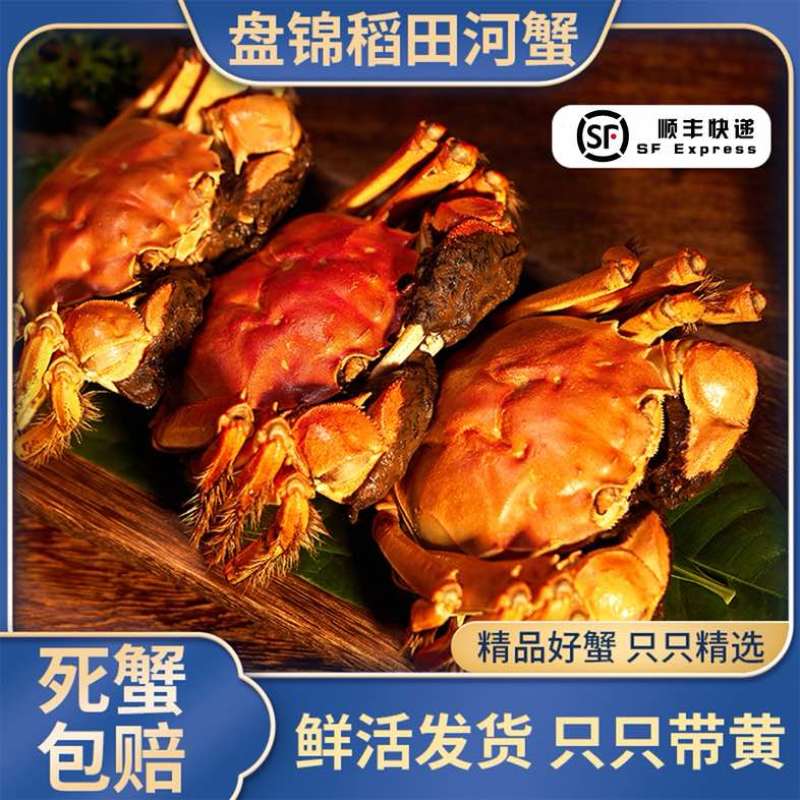 盘锦稻田蟹产地直发鲜活发货