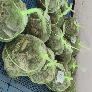 自产自销批发大闸蟹！