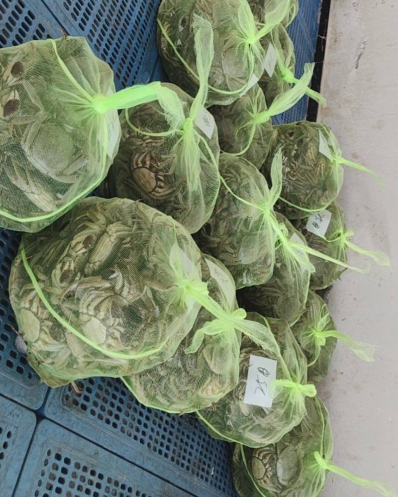 自产自销批发大闸蟹！