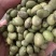 东北青大豆，双青豆8.0以上精选