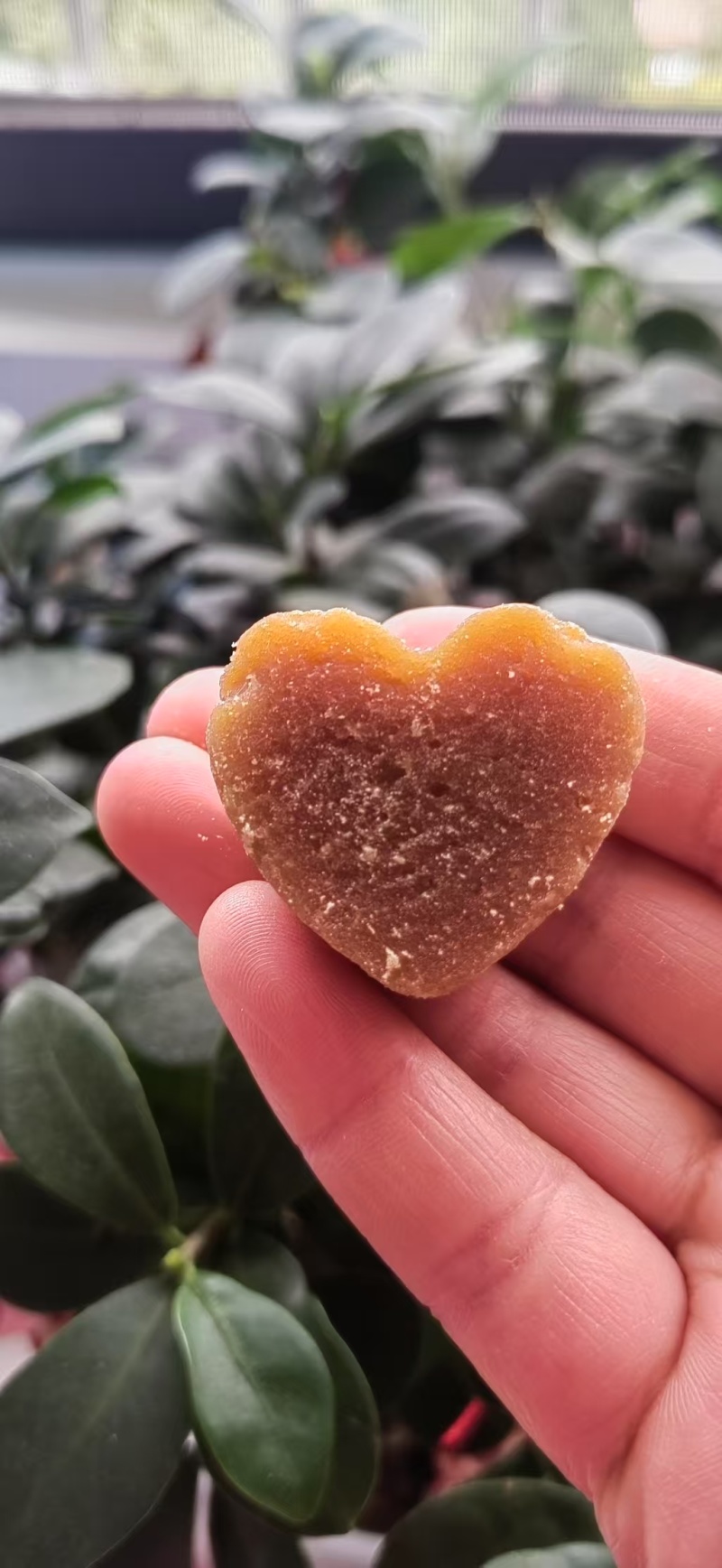 云南古法红糖30吨求卖