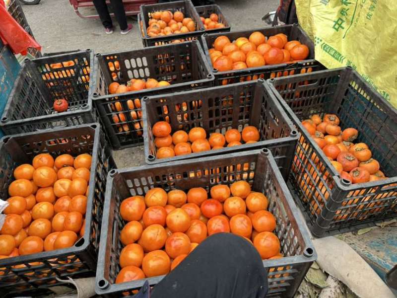 自己家的果园20000斤左右来个一次采购完的