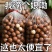 大颗粒奶油味夏威夷果坚果炒货干果年货送开口器电商一件代发
