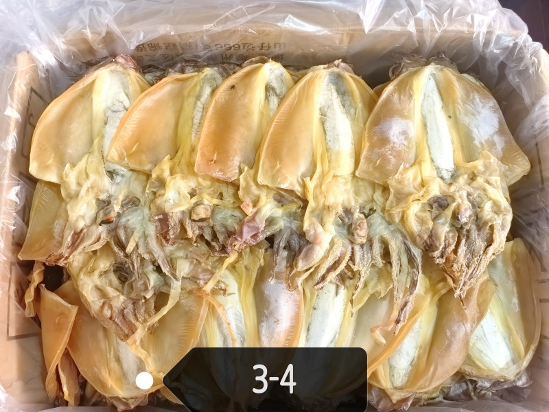 福建墨鱼干3-4个一斤