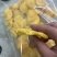 菠萝干，大量现货，物美价廉