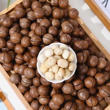 夏威夷果