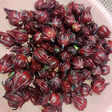 我想卖红桃K