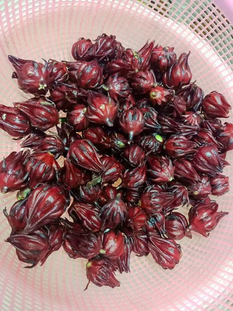 我想卖红桃K