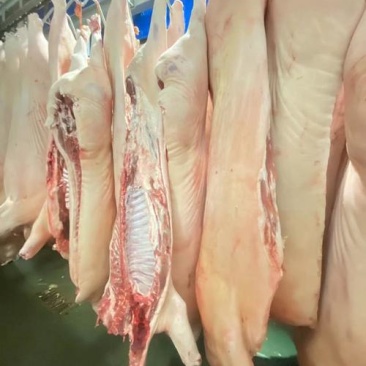 冷冻土猪肉