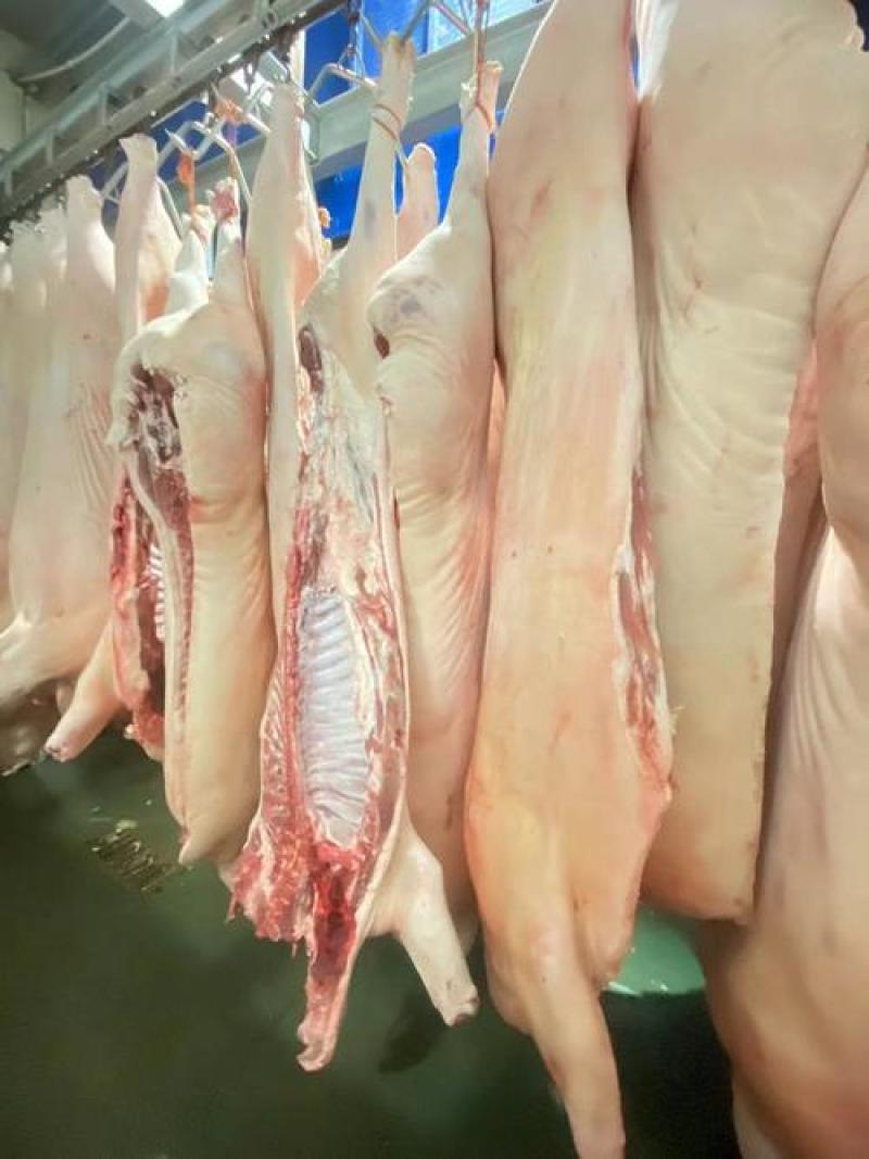 冷冻土猪肉
