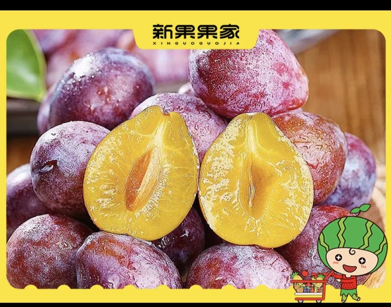 西梅