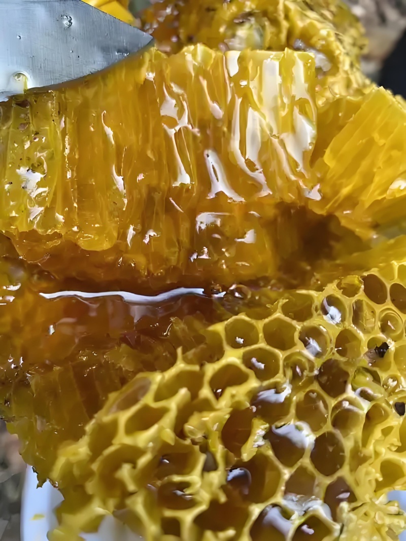 三峡秭归高山***野生土蜂蜜带巢蜜悬崖蜜洞蜜百花蜜槐花蜜老蜜