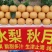 丰水梨