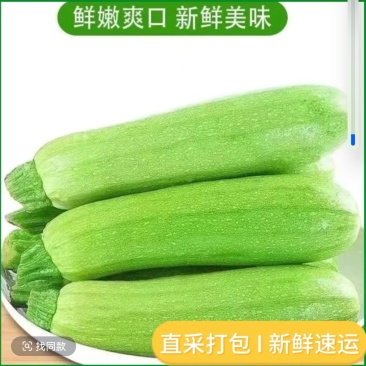 绿皮西葫芦