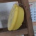 野生蜂蜜