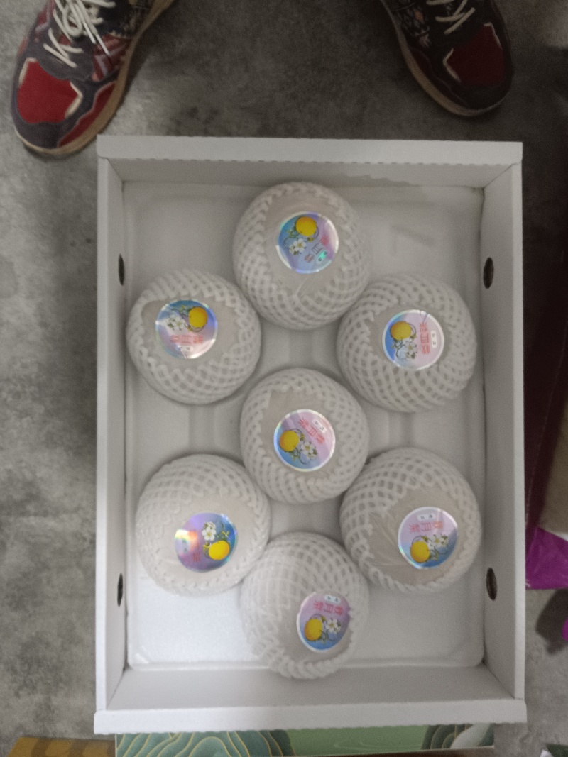 胶东半岛秋月梨