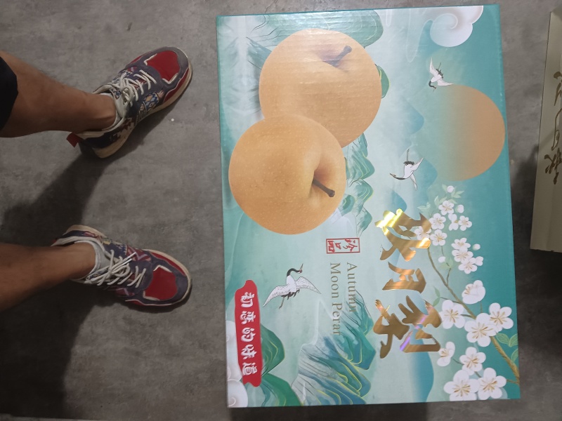 胶东半岛秋月梨