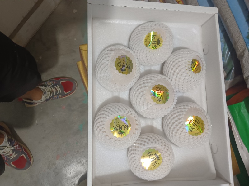 胶东半岛秋月梨