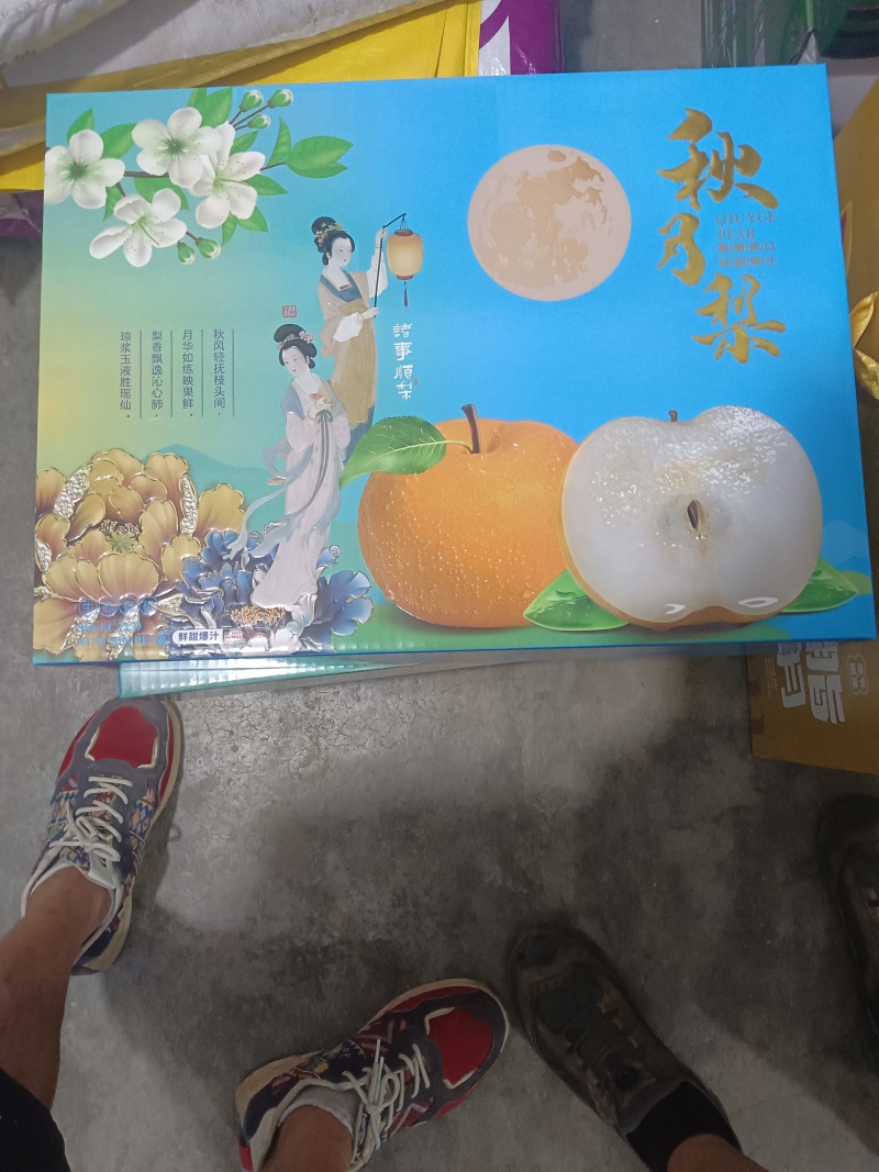 胶东半岛秋月梨