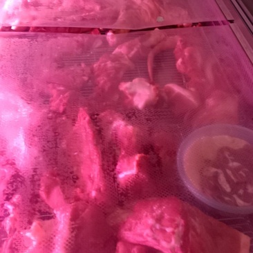 猪肉
