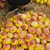 中华寿桃