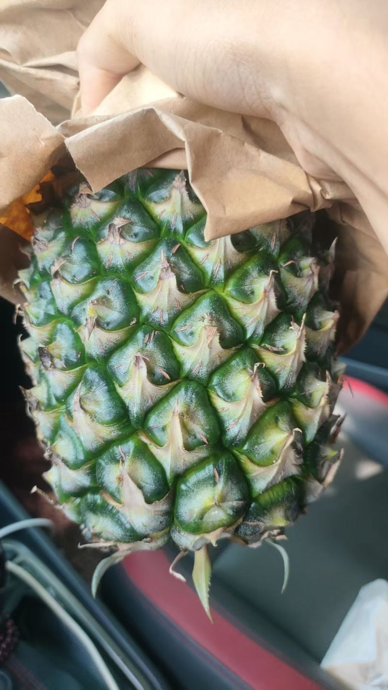 金钻凤梨，芒果凤梨