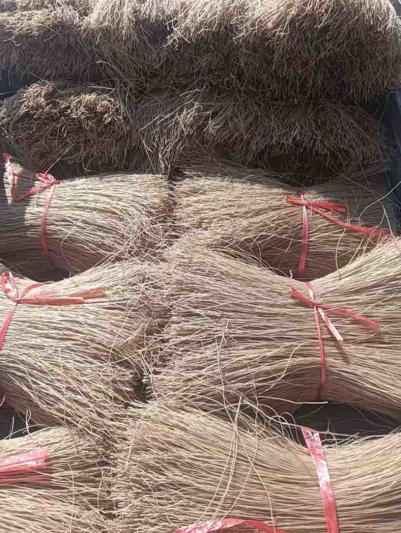 红薯粉条大量现货，每天都在出货中，有需要的老板可以联系我