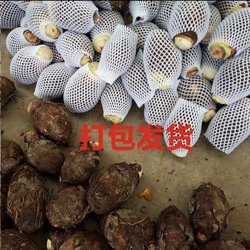 【广西芋头】一件代发/电商需要的老板联系