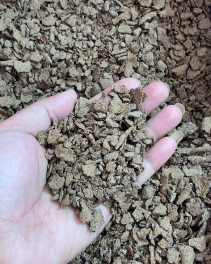 茶麸
