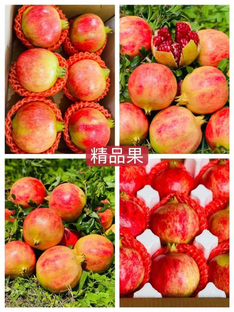 突尼斯软籽石榴中秋节日活动礼盒装一件代发电商供应量大优惠