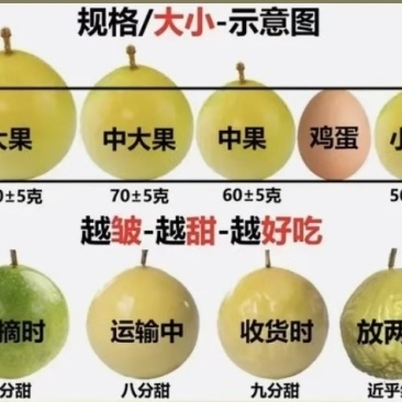 高山百香果
