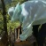农家深山土蜂蜜