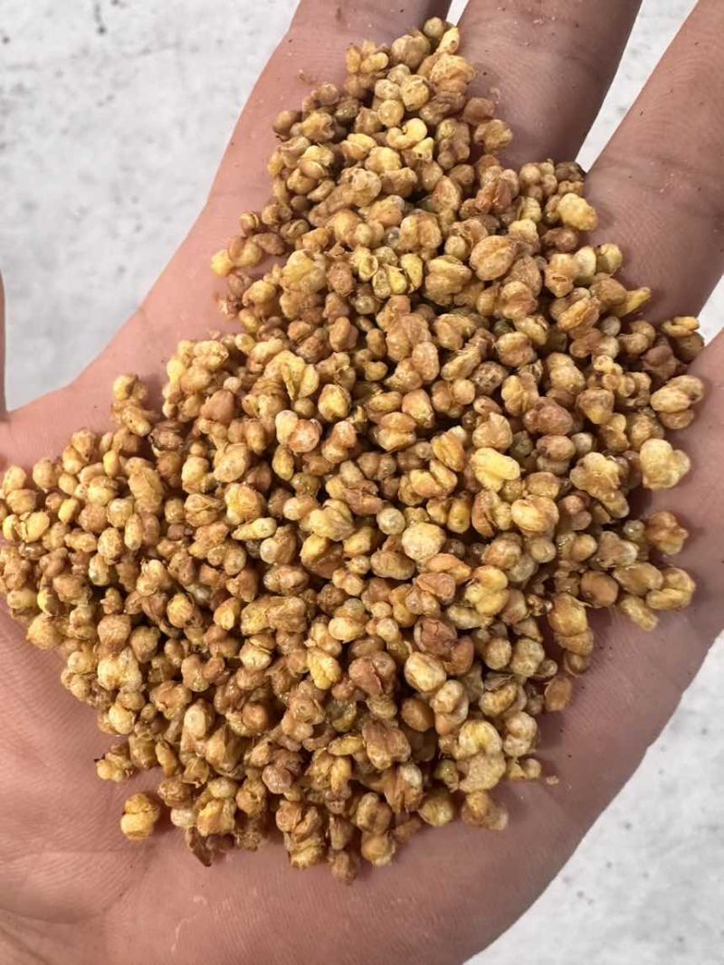 黄苦荞茶，大颗粒8.6小颗粒8.3，全系一口价工厂自营
