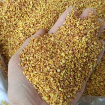 黄苦荞茶，大颗粒8.6小颗粒8.3，全系一口价工厂自营