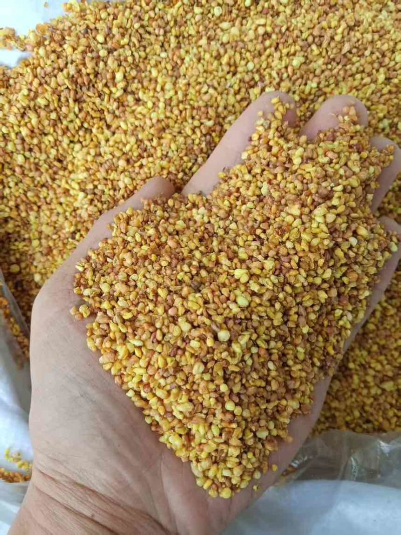 黄苦荞茶，大颗粒8.6小颗粒8.3，全系一口价工厂自营