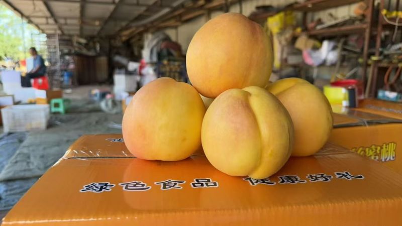 黄油桃