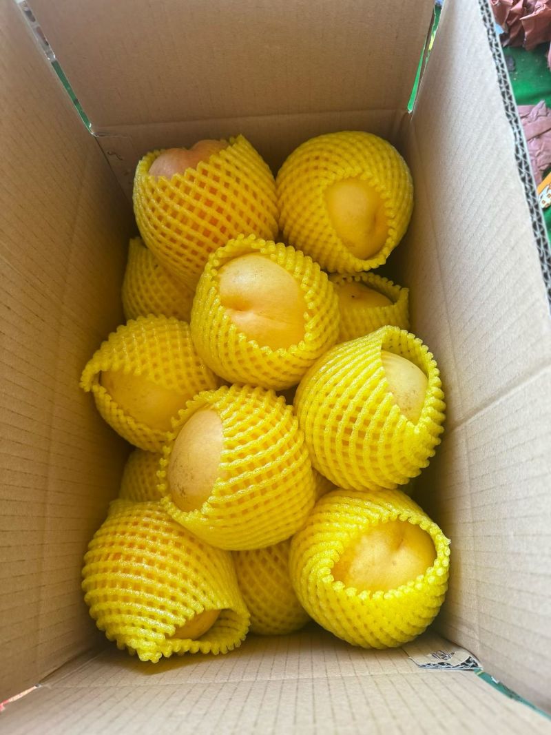 黄油桃
