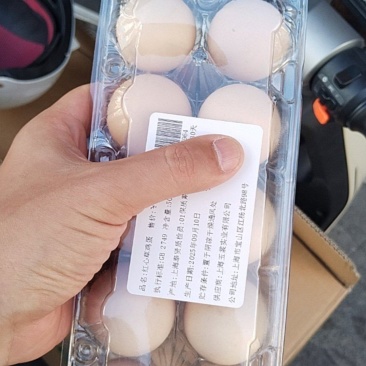 虫草蛋