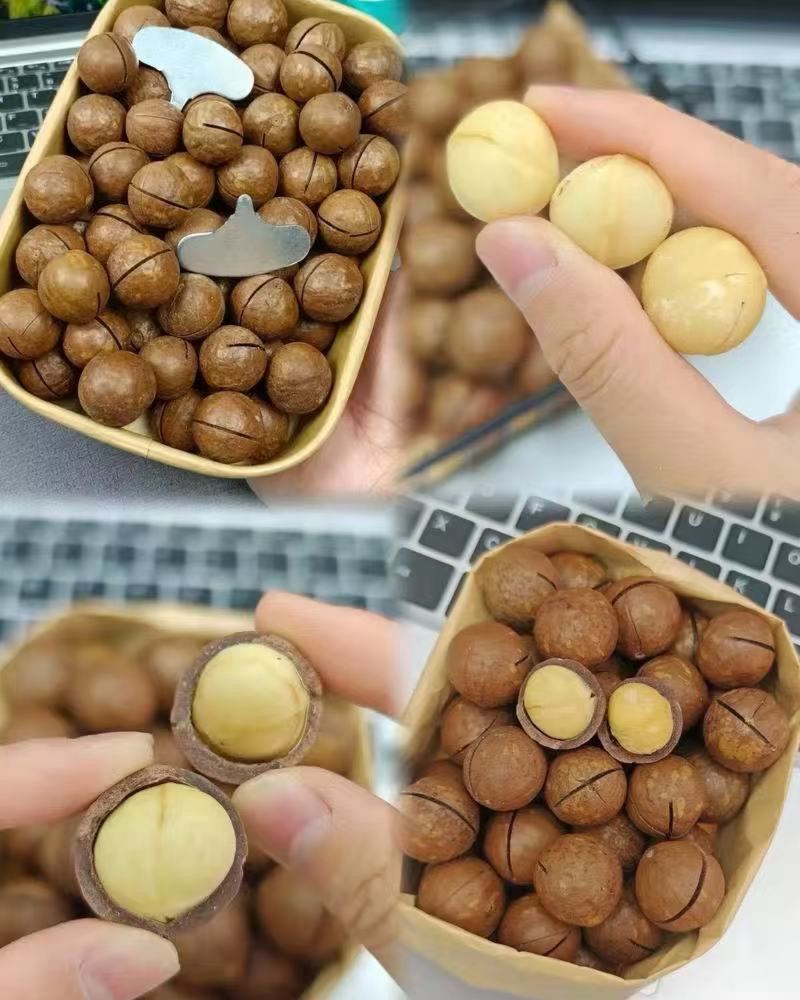 夏威夷果，大量现货，批发代发，量大来谈