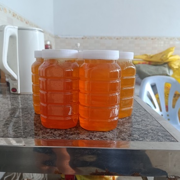 土蜂蜜