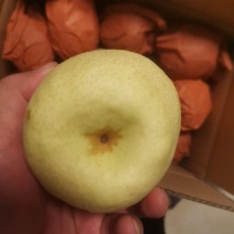 山西忻州精品酥梨