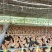 125天放养三黄鸡，3.56斤，6000只，玉林，7字头