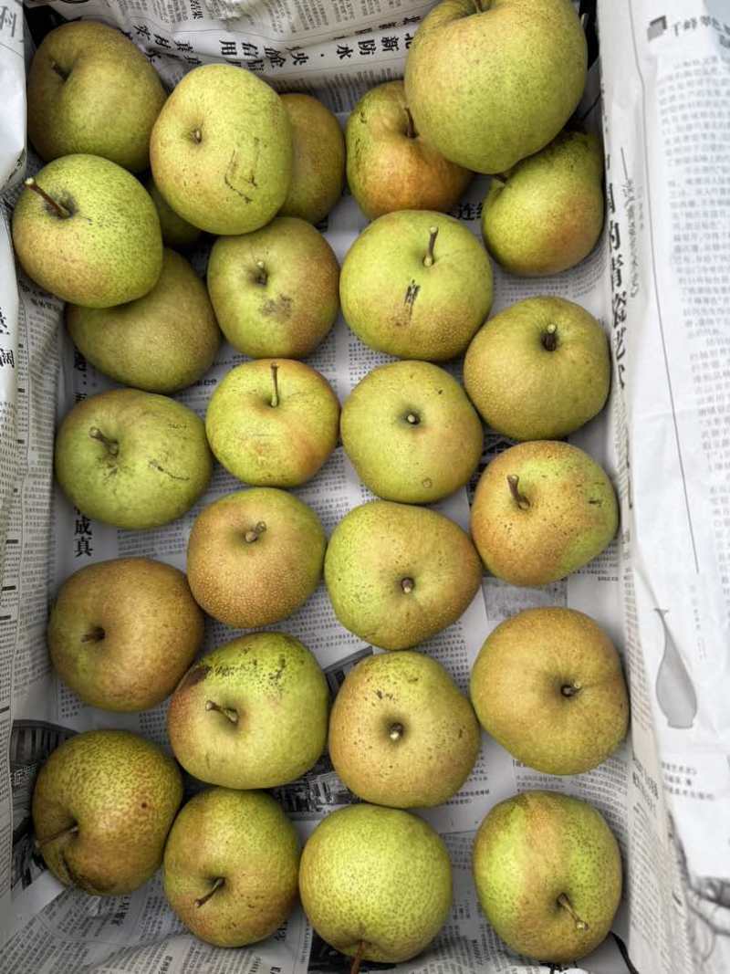 自家种价钱优惠