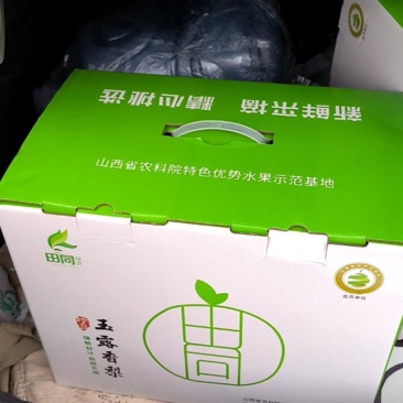 玉露香梨