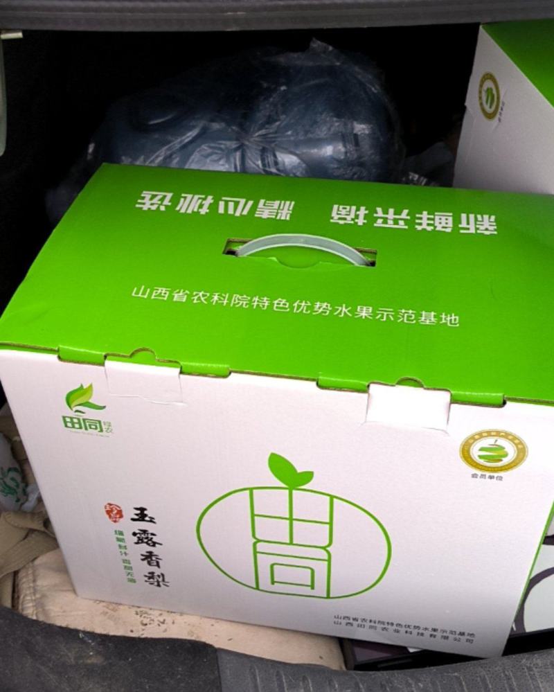 玉露香梨