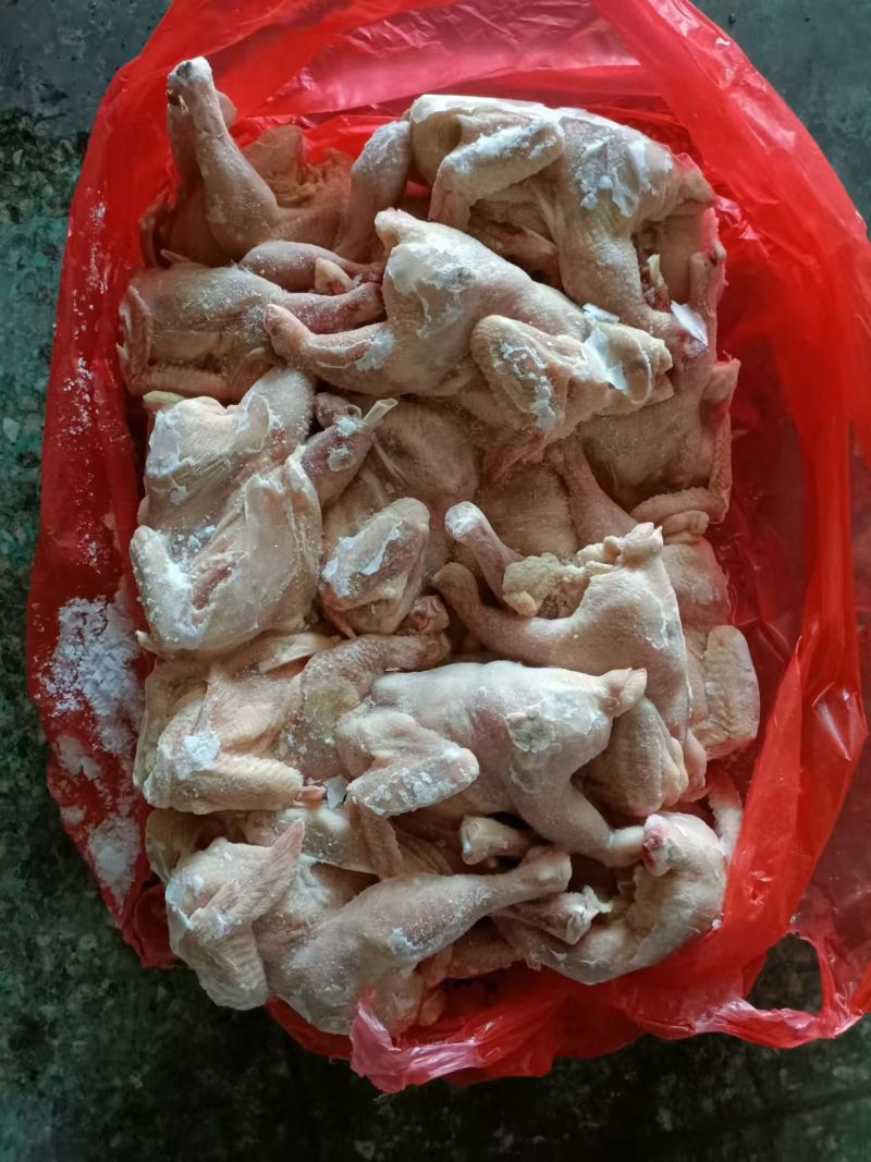 二级西装鸡
