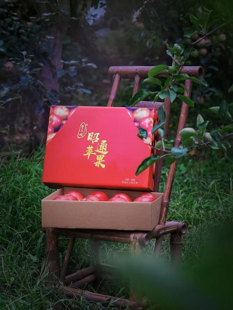 昭通苹果