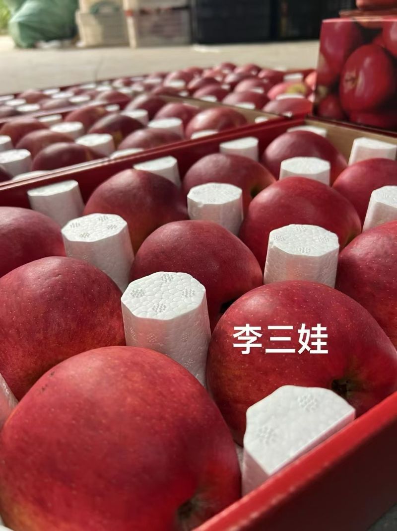 昭通苹果