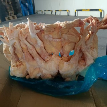 三黄鸡，黑风，小公鸡